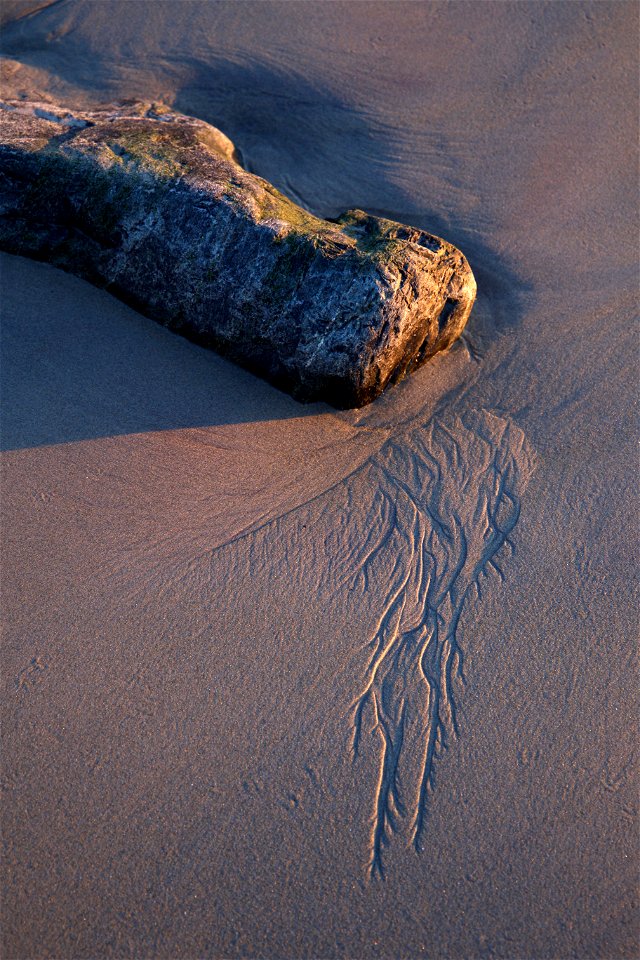 Sand Trails photo