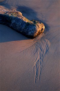 Sand Trails photo