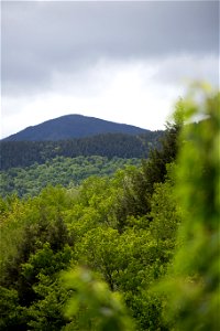 Mountain Rising Out of a Green Forest photo