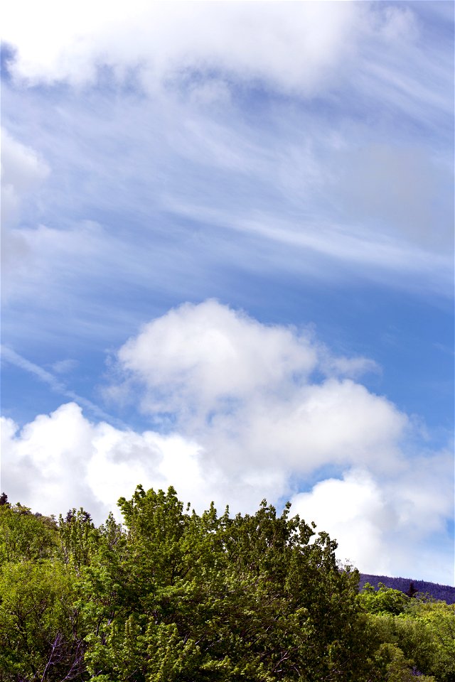 Wispy Clouds Over Greenery