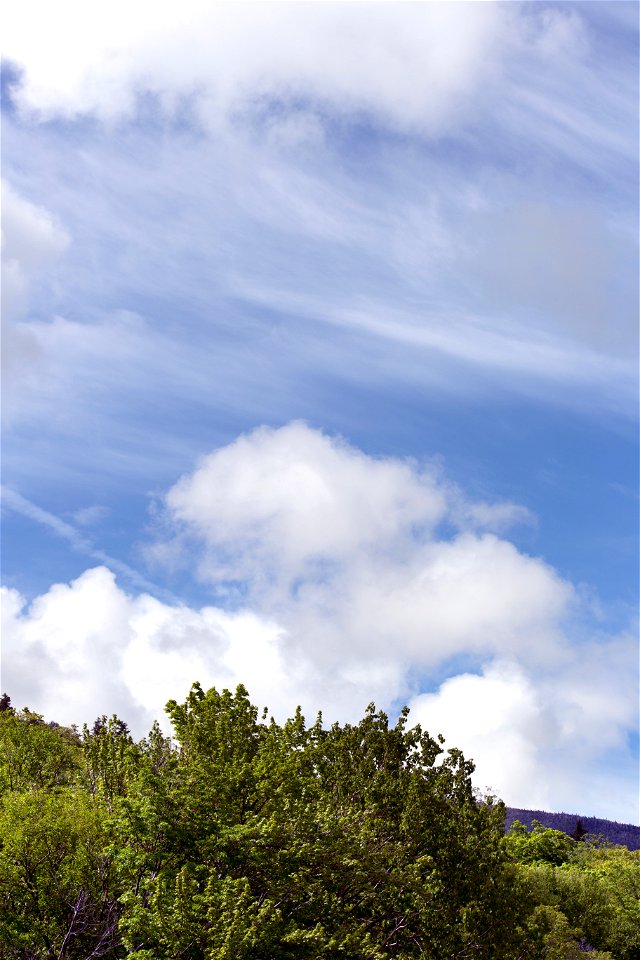 Wispy Clouds Over Greenery photo