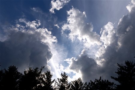 Silhouetted Clouds photo