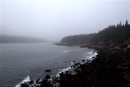 Foggy Rocky Coastline photo