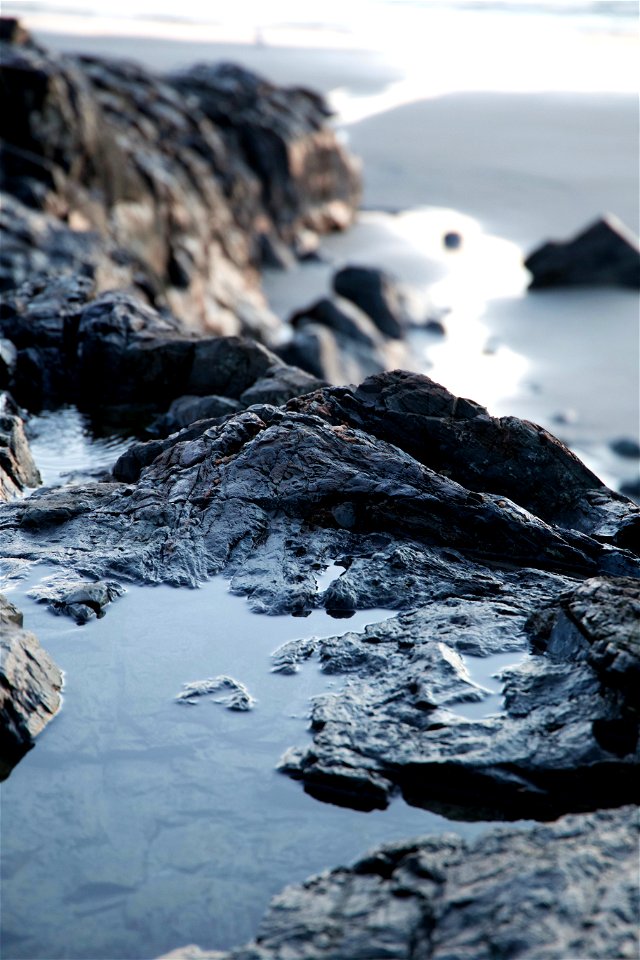 Small Rocky Pools at the Ocean’s Edge photo