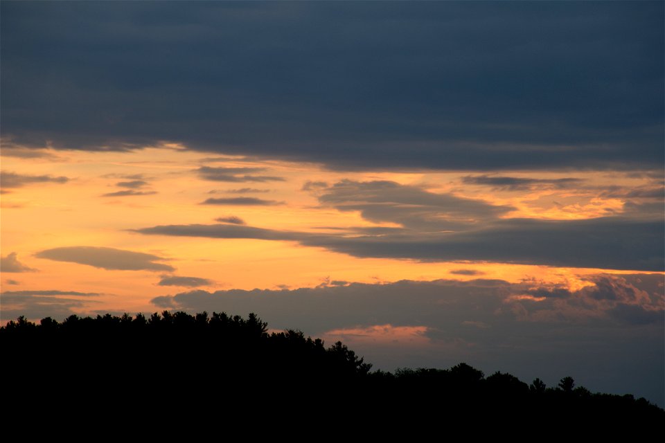 Dusk Clouds and Tree Silhouettes