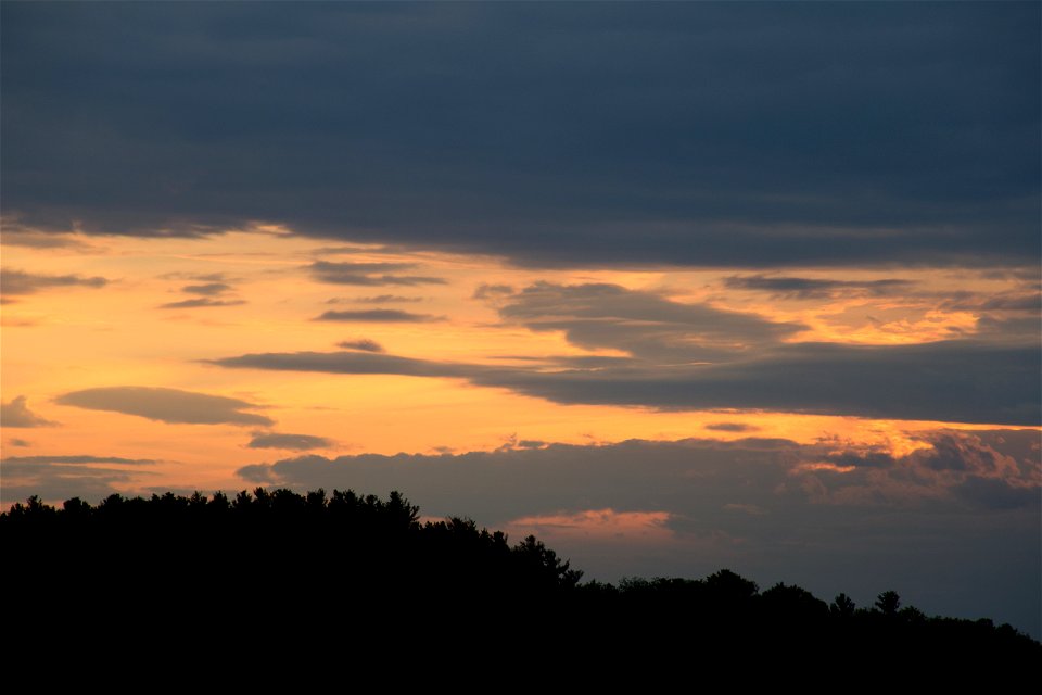 Dusk Clouds and Tree Silhouettes photo