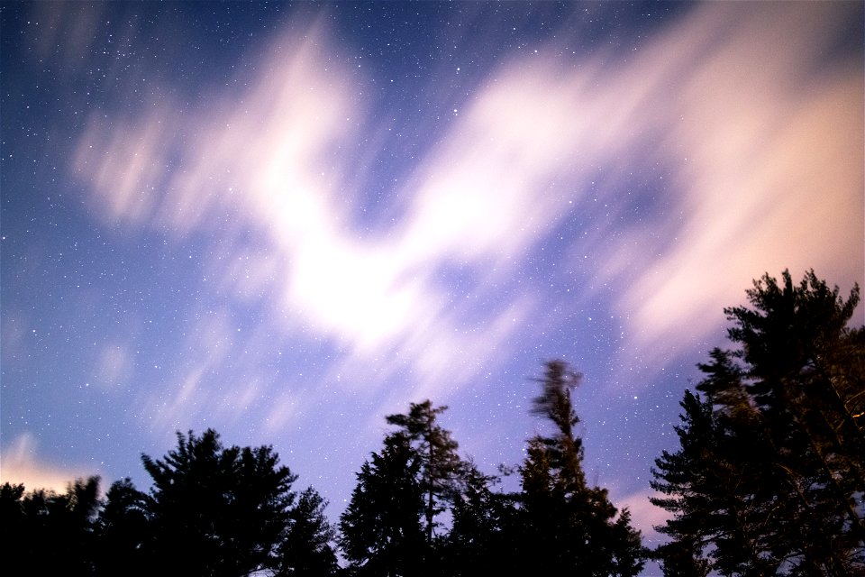 Blurry Clouds Over Dark Trees