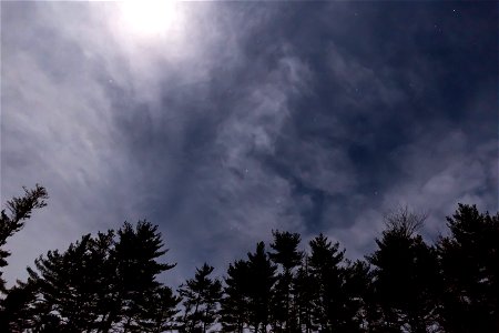 Moonlit Thin Cloud Cover photo