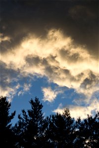 Soft Clouds Over Tree Silhouettes photo