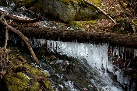 Icy Water Drips in the Woods photo