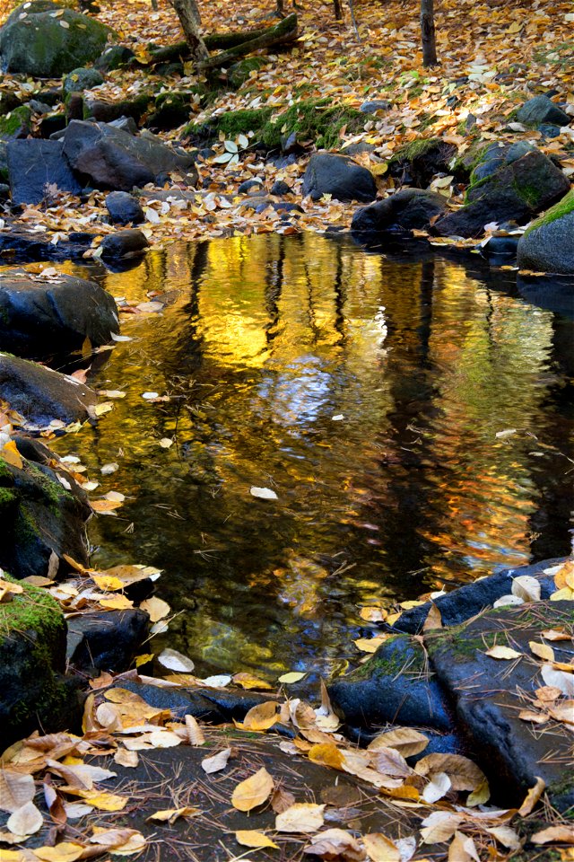 Peaceful Autumn Reflections