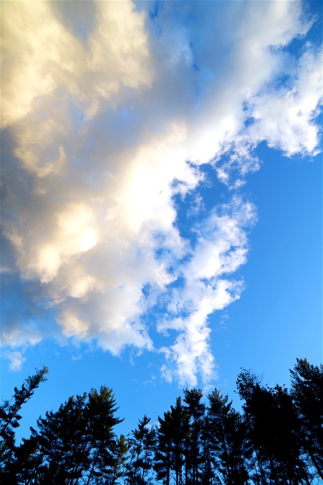Brilliant Blue Sky with Clouds photo