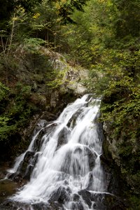 Cascading Spring Waterfall photo