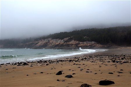Foggy Beach photo