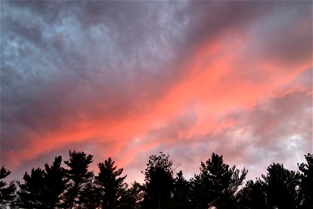 Soft Orange Clouds