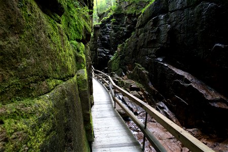 Wooden Walkway in Gorge photo