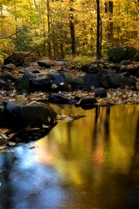 Golden Fall Reflections photo
