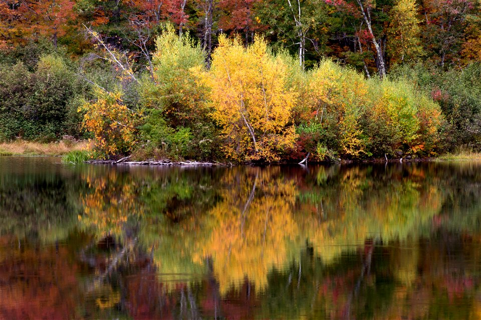 Still Autumn Reflections photo