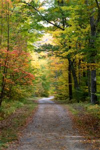 Autumn Country Road photo