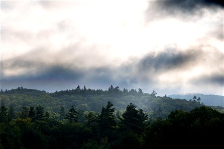 Misty Landscape photo
