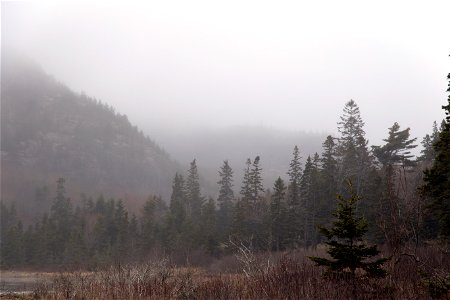 Thick Fog in the Valley photo