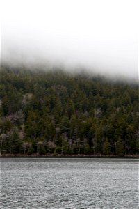 Foggy Lakeside photo