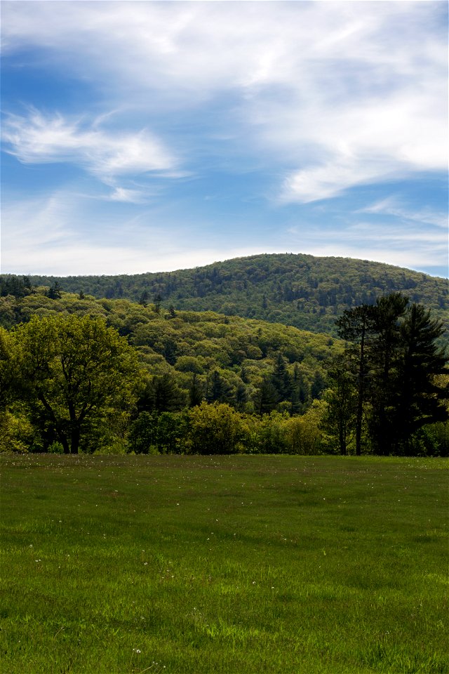 Summer Field and Rolling Hills