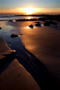 Sunrise Landscape at the Beach photo