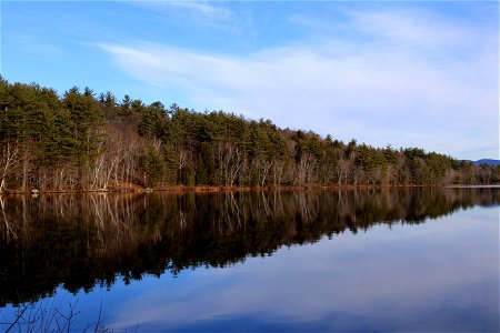 Long Lake Reflections photo