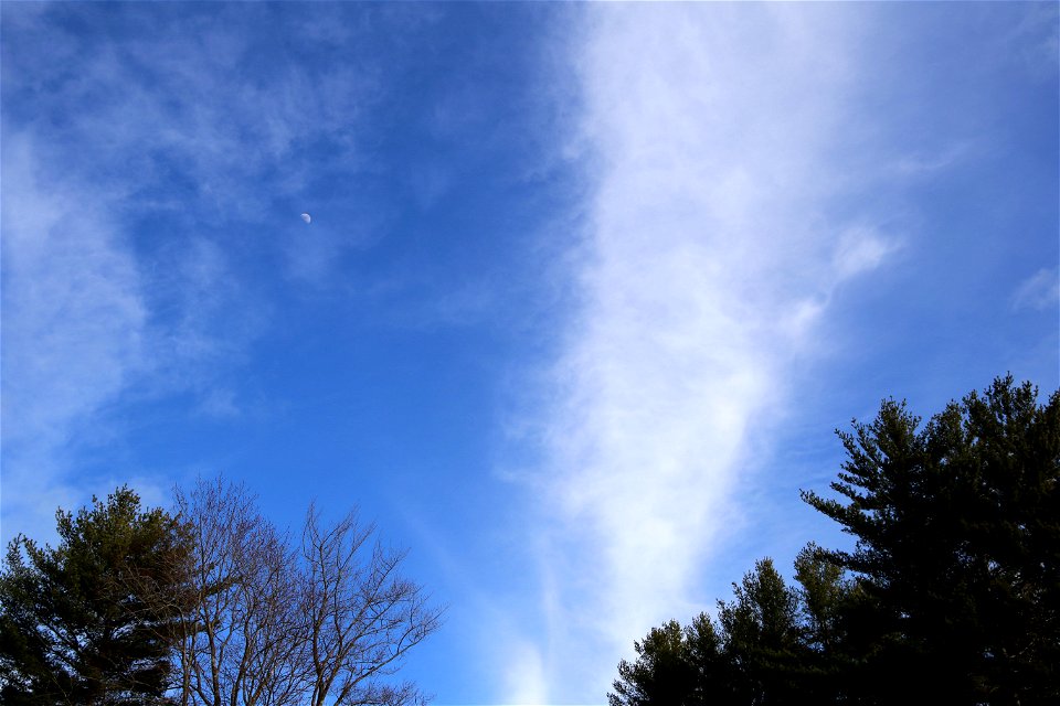 Long Cloud in the Blue Sky