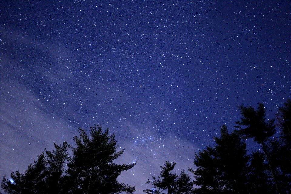 Twinkling Stars at Night photo