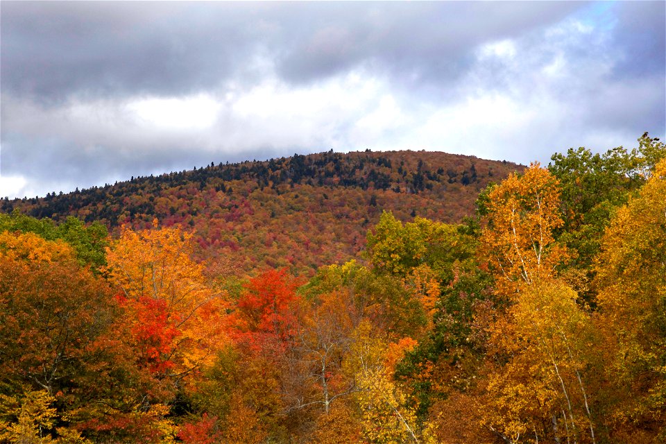 Fall Foliage in the Hills photo
