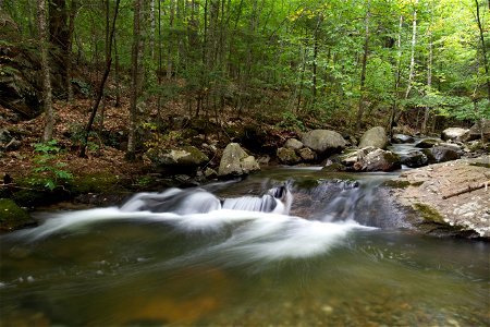 Rapids in the Stream photo