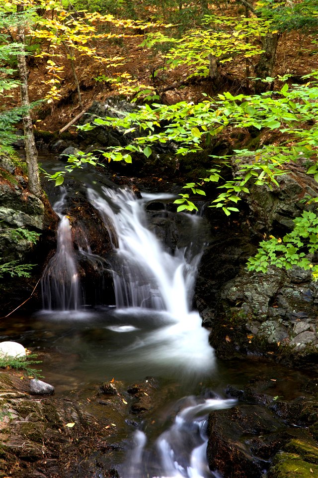 Cascading Waterfall in Early Fall photo