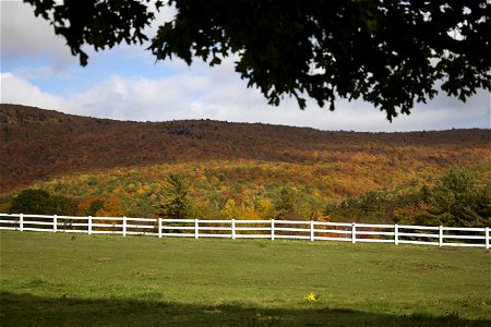 Fall Foliage at a Fenced In Field photo