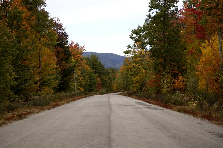 Rural Paved Road in the Fall photo