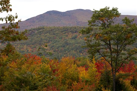 Autumn Mountain Scene photo