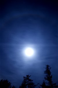 Bright Moon photo