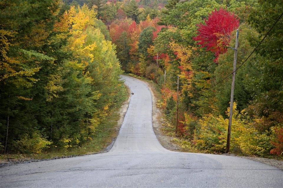 Steep Road in the Fall photo