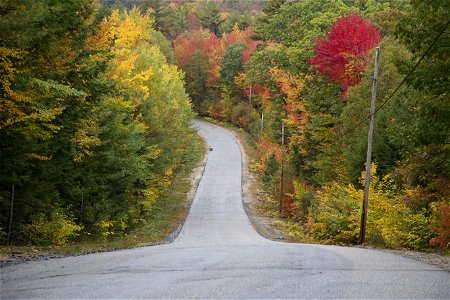 Steep Road in the Fall