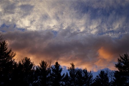 Soft Sunlit Clouds Over Tree Silhouettes photo