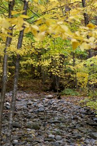 Loose Rocks on an Autumn Trail photo