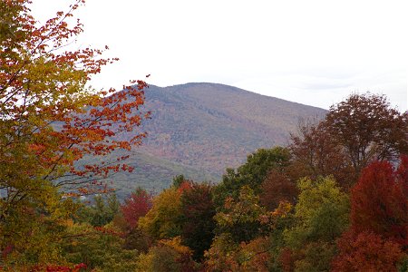 Mountain Top Past Autumn Trees photo