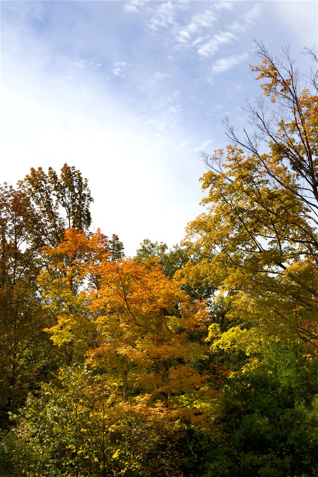 Autumn Afternoon photo