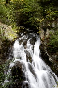 Trickling Waterfall in the Forest photo