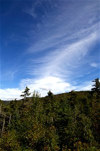 Thin Clouds in Blue Sky Over Forest photo