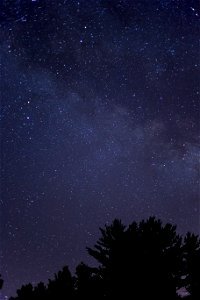 Calm Starry Night photo