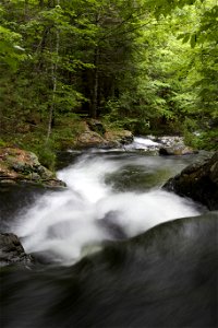 Rushing River in Summer photo