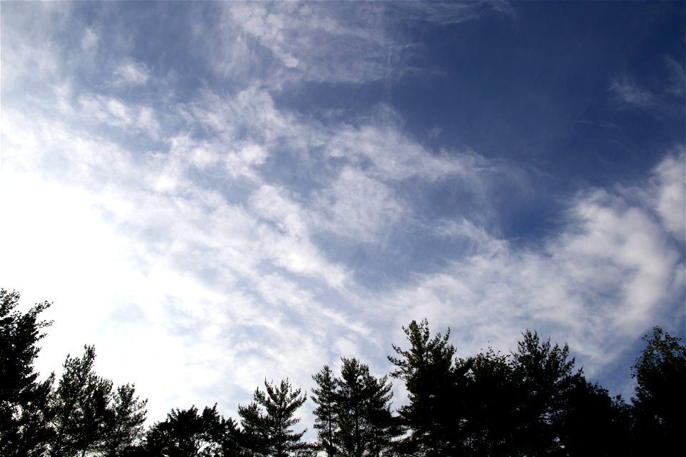 Bright Cloudy Day