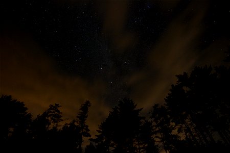Dark Night Sky, Clouds, and Trees photo